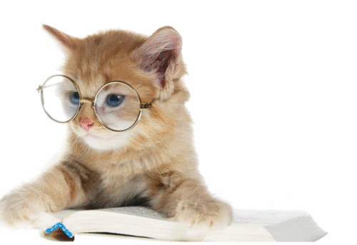 Animais_017.gif