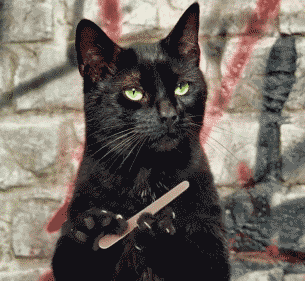Animais_018.gif