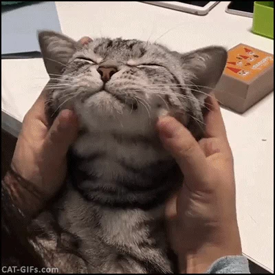 Animais_059.gif