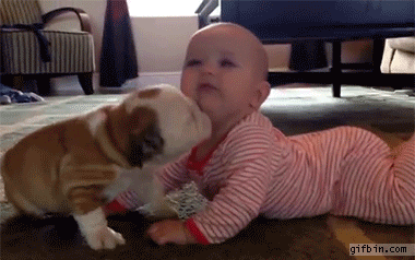 Animais_e_CrianЗas_002.gif