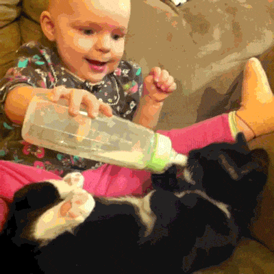 Animais_e_CrianЗas_006.gif