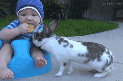 Animais_e_CrianЗas_007.gif