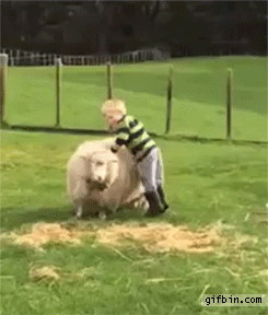 Animais_e_CrianЗas_008.gif