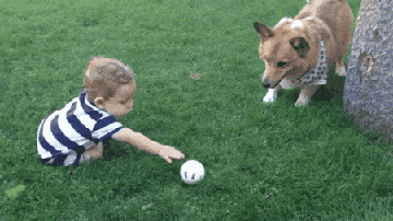 Animais_e_CrianЗas_009.gif
