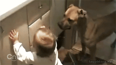 Animais_e_CrianЗas_011.gif