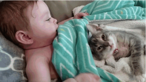 Animais_e_CrianЗas_015.gif