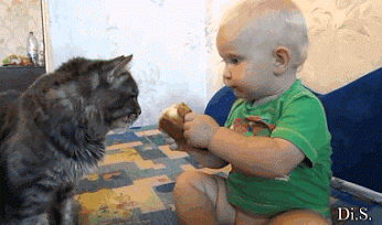 Animais_e_CrianЗas_016.gif