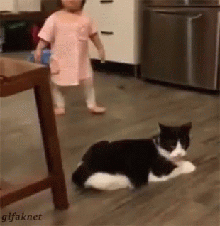 Animais_e_CrianЗas_017.gif