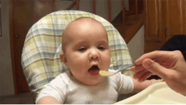 Animais_e_CrianЗas_018.gif