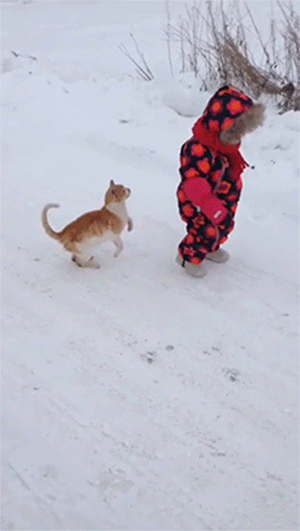 Animais_e_CrianЗas_020.gif