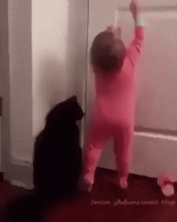 Animais_e_CrianЗas_021.gif