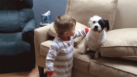 Animais_e_CrianЗas_022.gif