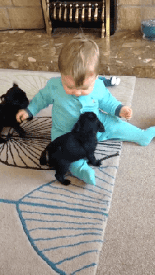 Animais_e_CrianЗas_025.gif