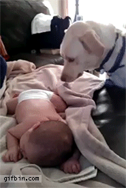 Animais_e_CrianЗas_026.gif