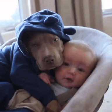 Animais_e_CrianЗas_027.gif