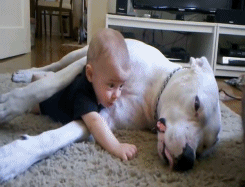 Animais_e_CrianЗas_028.gif