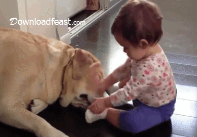 Animais_e_CrianЗas_029.gif