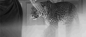 tumblr_inline_paia3dObEf1v9zgzp_400.gif