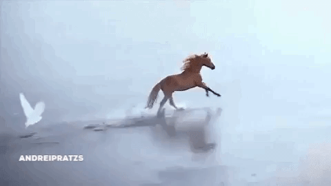 tumblr_p3fzhjpKZ81uzfbuao1_500.gif