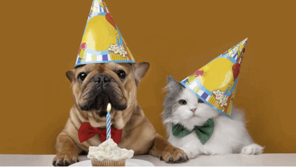 Aniversario_022.gif