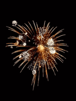 Aniversario_028.gif