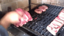 Salgados_004.gif
