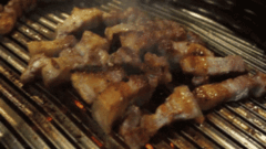 Salgados_030.gif