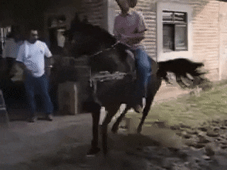 DanЗa_068.gif