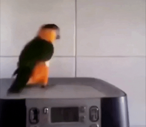 DanЗa_117.gif