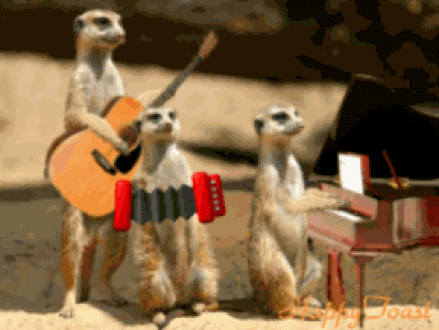 Gatos_001.gif