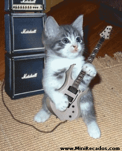 Gatos_006.gif