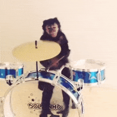 Macaco_001.gif