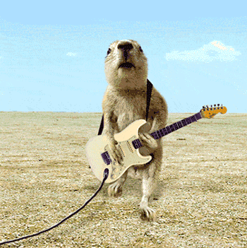 Ratos_001.gif