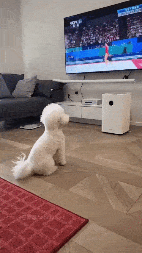 Dança_0005.gif