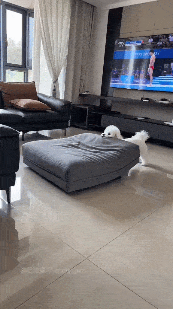 Dança_0007.gif