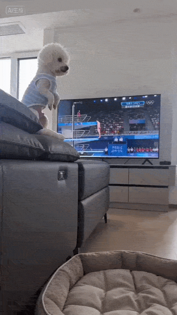 Dança_0008.gif