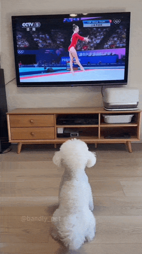 Dança_0011.gif