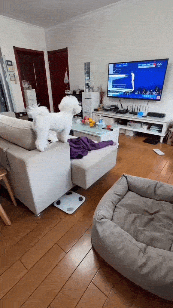 Dança_0012.gif