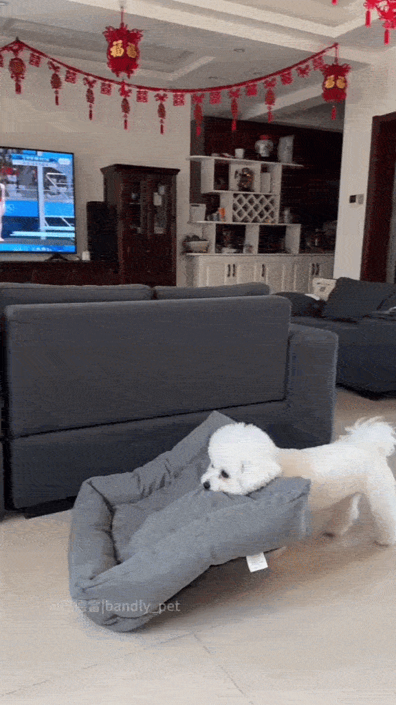 Dança_0013.gif