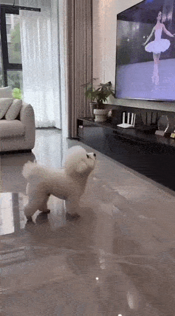 Dança_0014.gif
