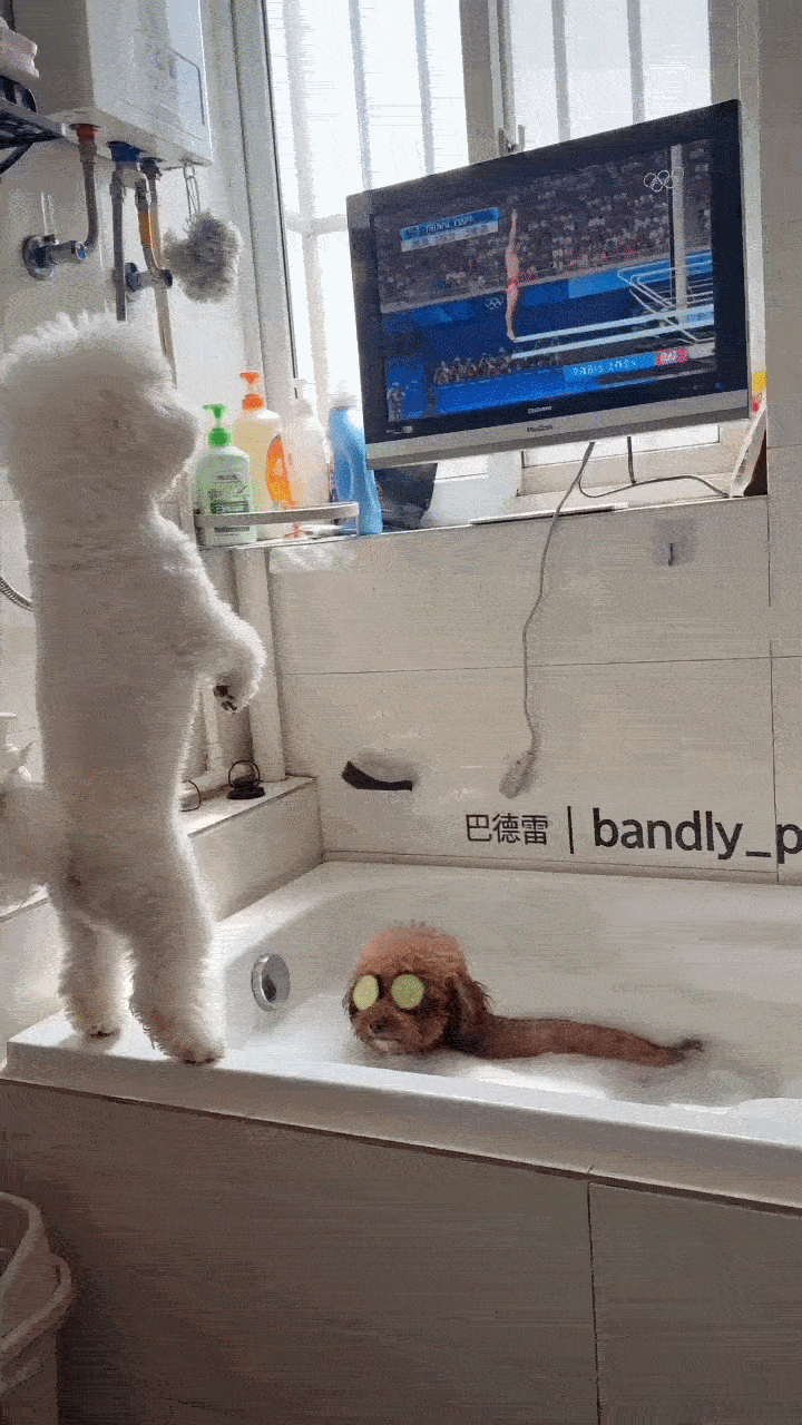 Dança_0017.gif