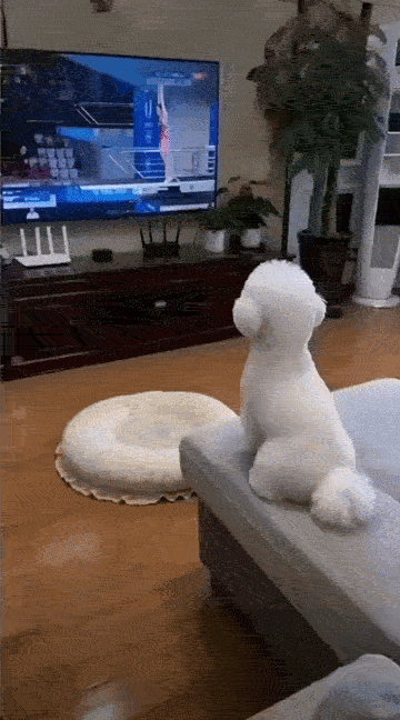 Dança_0018.gif