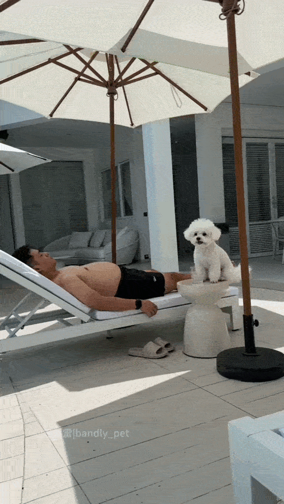 Dança_0019.gif