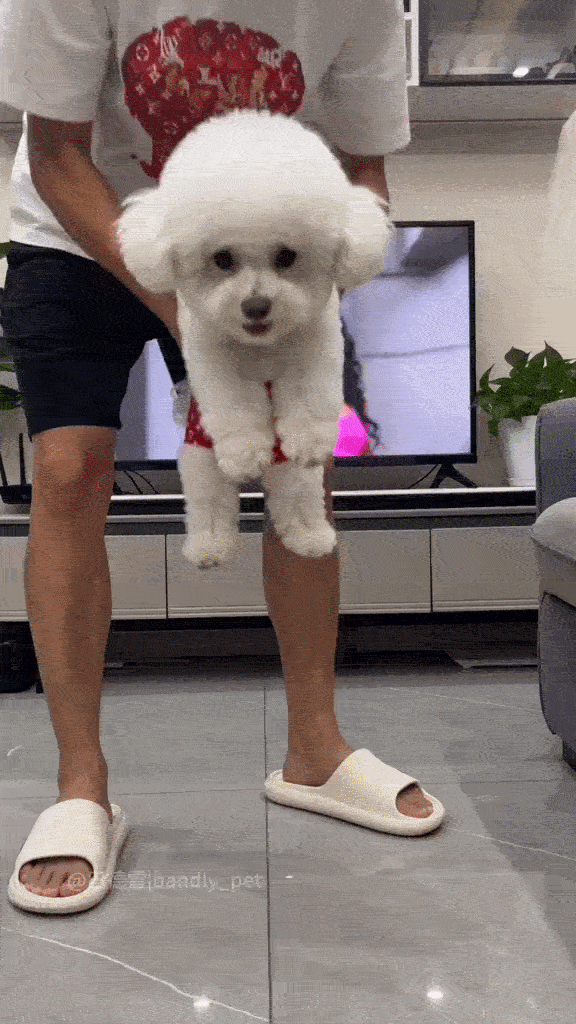 Dança_0020.gif