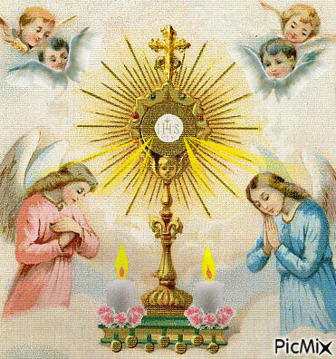 Corpus_Christi_003.gif