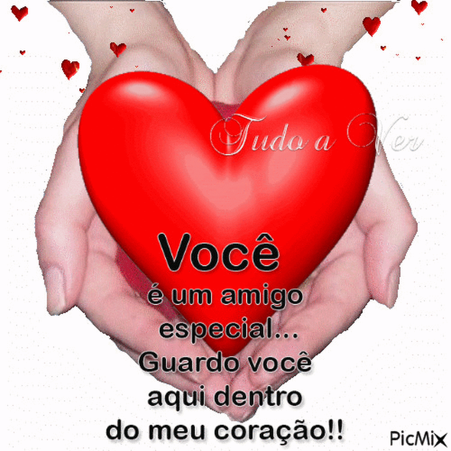 Dia_do_Amigo_008.gif