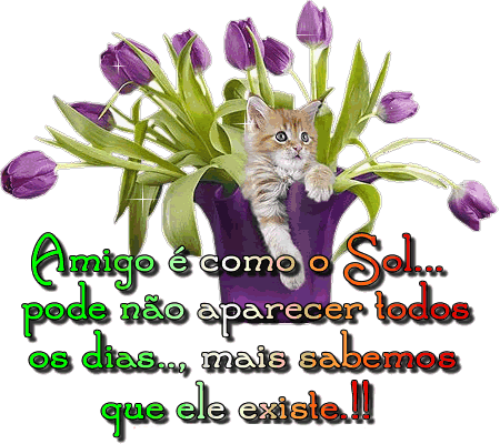 Dia_do_Amigo_020.gif