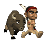 Dia_do_Indio_019.gif
