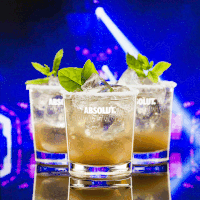 Bebidas_002.gif