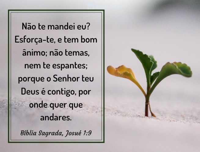 Frases_018.gif